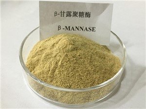 Β-Mannase